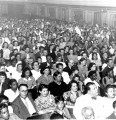 Rádio Novela (platéia) Rádio Novela (platéia)